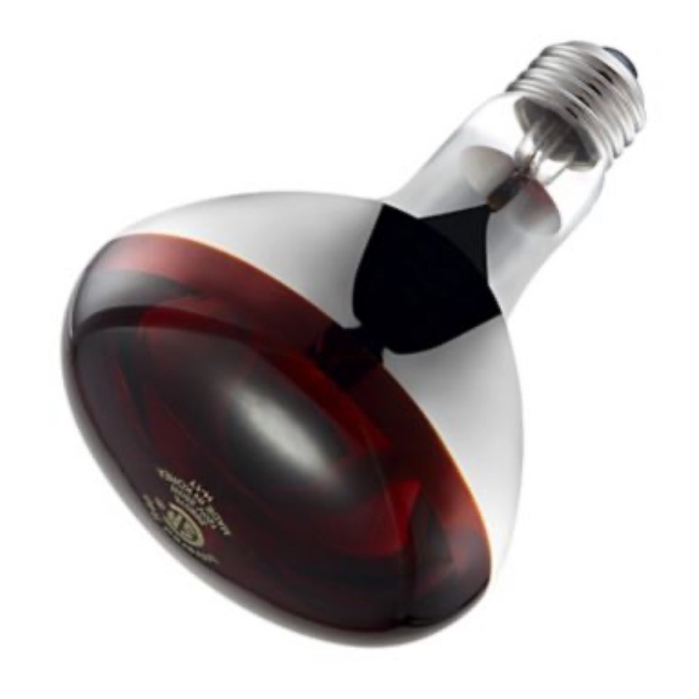 250 Watt 120V Red Heat Bulb, 1